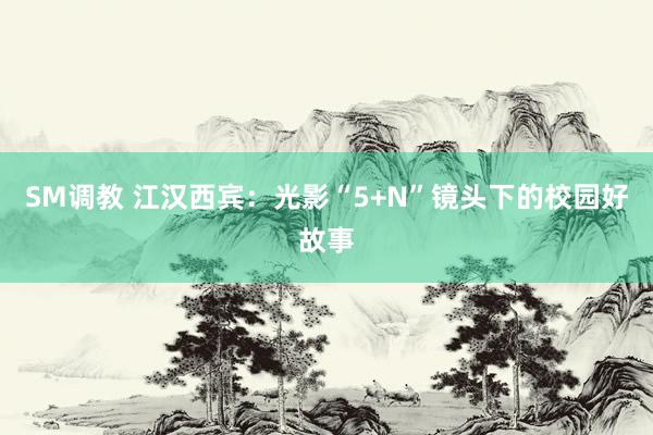 SM调教 江汉西宾：光影“5+N”镜头下的校园好故事