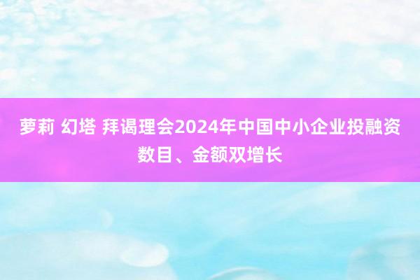 萝莉 幻塔 拜谒理会2024年中国中小企业投融资数目、金额双增长