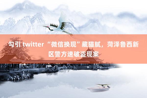勾引 twitter “微信换现”藏猫腻，菏泽鲁西新区警方速破盗现案
