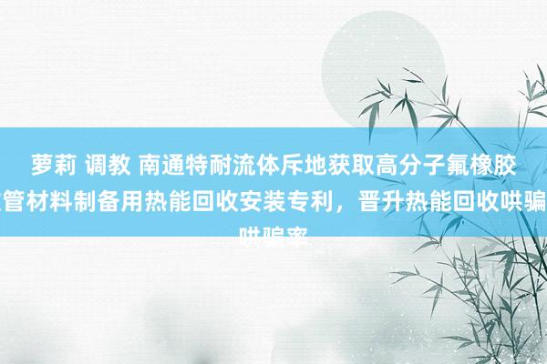 萝莉 调教 南通特耐流体斥地获取高分子氟橡胶软管材料制备用热能回收安装专利，晋升热能回收哄骗率