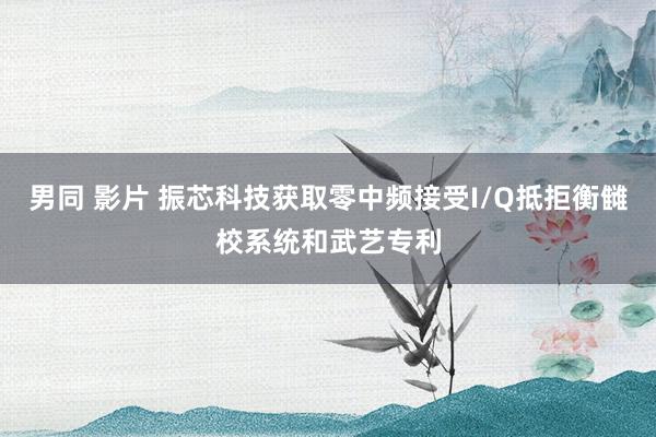 男同 影片 振芯科技获取零中频接受I/Q抵拒衡雠校系统和武艺专利
