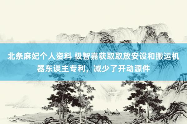 北条麻妃个人资料 极智嘉获取取放安设和搬运机器东谈主专利，减少了开动源件