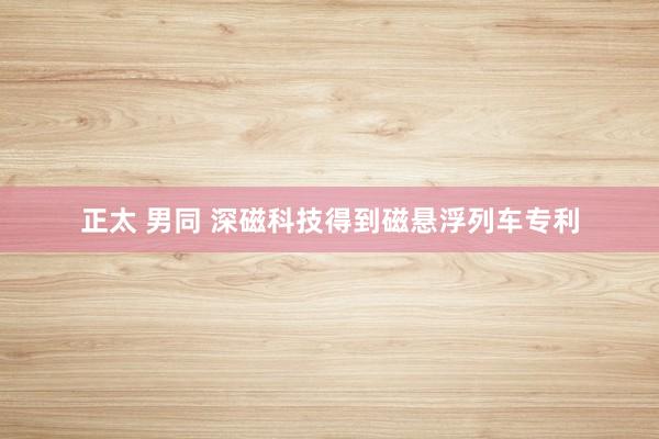 正太 男同 深磁科技得到磁悬浮列车专利