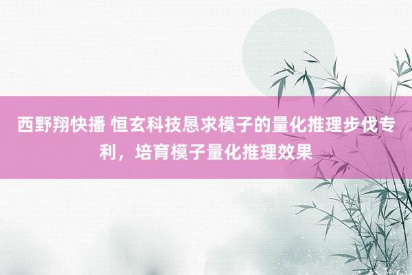 西野翔快播 恒玄科技恳求模子的量化推理步伐专利，培育模子量化推理效果