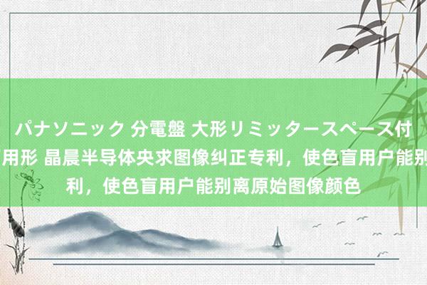 パナソニック 分電盤 大形リミッタースペース付 露出・半埋込両用形 晶晨半导体央求图像纠正专利，使色盲用户能别离原始图像颜色