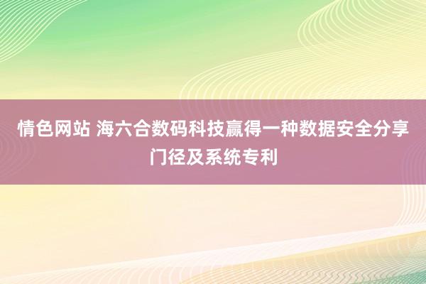 情色网站 海六合数码科技赢得一种数据安全分享门径及系统专利