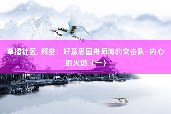 草榴社区, 解密：好意思国舟师海豹突击队—内心的火焰（一）