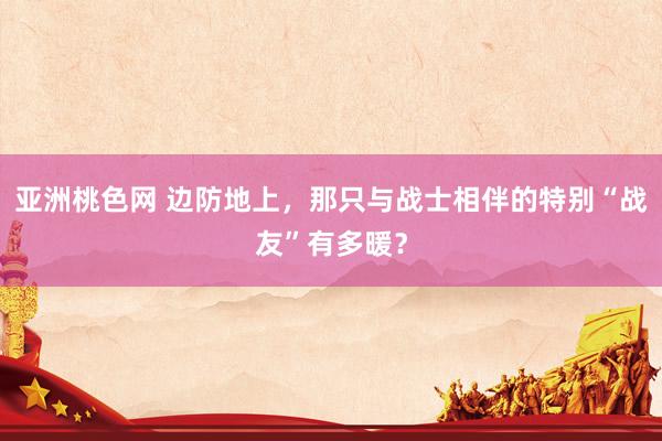 亚洲桃色网 边防地上，那只与战士相伴的特别“战友”有多暖？