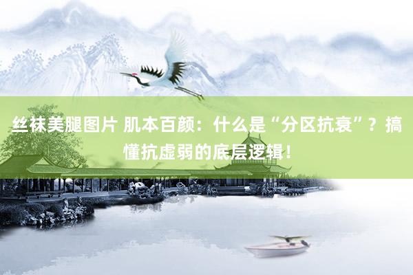 丝袜美腿图片 肌本百颜：什么是“分区抗衰”？搞懂抗虚弱的底层逻辑！