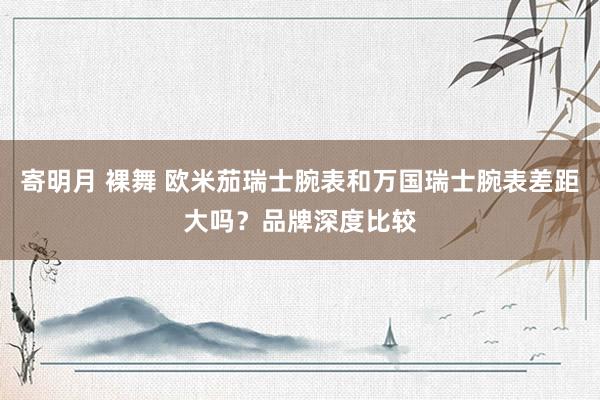 寄明月 裸舞 欧米茄瑞士腕表和万国瑞士腕表差距大吗？品牌深度比较