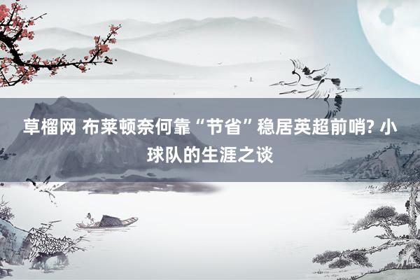 草榴网 布莱顿奈何靠“节省”稳居英超前哨? 小球队的生涯之谈