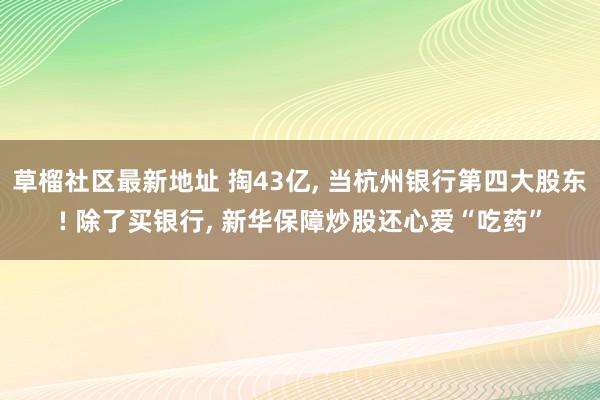 草榴社区最新地址 掏43亿, 当杭州银行第四大股东! 除了买银行, 新华保障炒股还心爱“吃药”