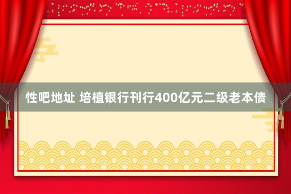 性吧地址 培植银行刊行400亿元二级老本债