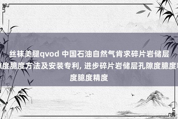 丝袜美腿qvod 中国石油自然气肯求碎片岩储层孔隙度臆度方法及安装专利, 进步碎片岩储层孔隙度臆度精度