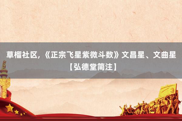 草榴社区, 《正宗飞星紫微斗数》文昌星、文曲星【弘德堂简注】