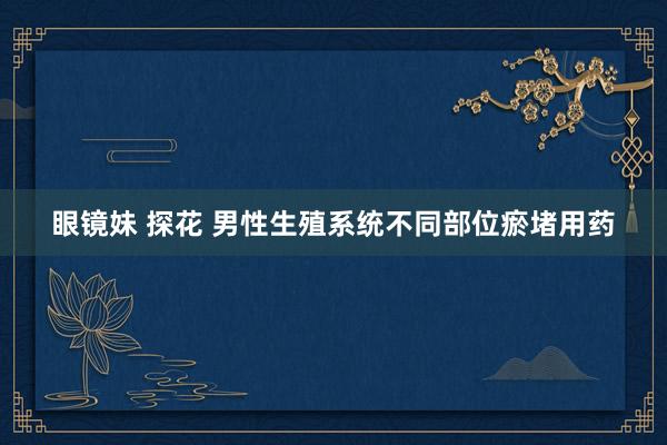 眼镜妹 探花 男性生殖系统不同部位瘀堵用药