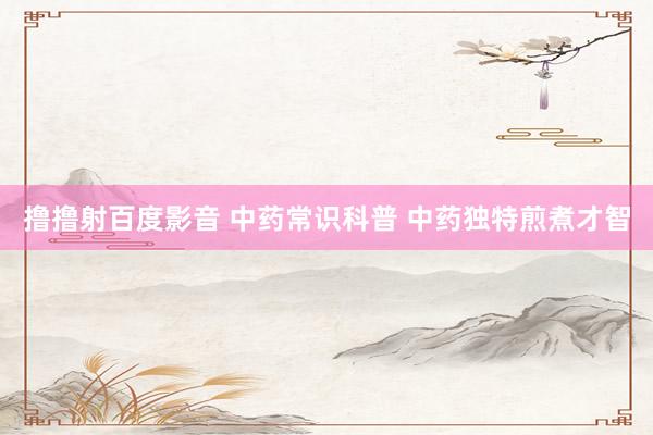 撸撸射百度影音 中药常识科普 中药独特煎煮才智