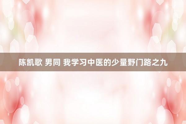 陈凯歌 男同 我学习中医的少量野门路之九