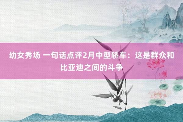 幼女秀场 一句话点评2月中型轿车：这是群众和比亚迪之间的斗争