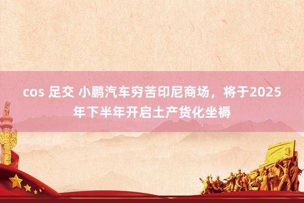 cos 足交 小鹏汽车穷苦印尼商场，将于2025年下半年开启土产货化坐褥