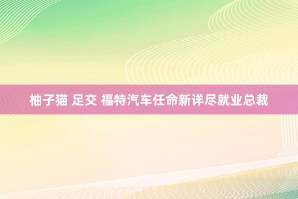 柚子猫 足交 福特汽车任命新详尽就业总裁