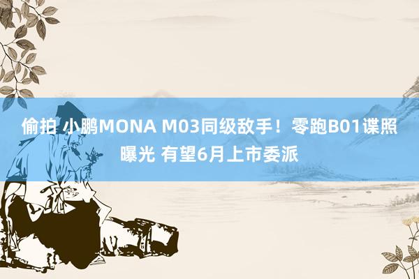 偷拍 小鹏MONA M03同级敌手！零跑B01谍照曝光 有望6月上市委派