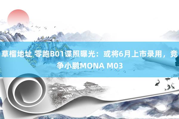 草榴地址 零跑B01谍照曝光：或将6月上市录用，竞争小鹏MONA M03