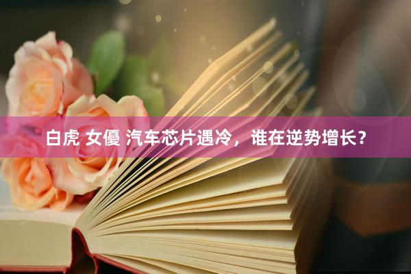白虎 女優 汽车芯片遇冷，谁在逆势增长？