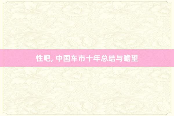 性吧, 中国车市十年总结与瞻望
