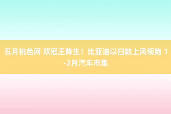 五月桃色网 双冠王降生！比亚迪以扫数上风领跑 1-2月汽车市集