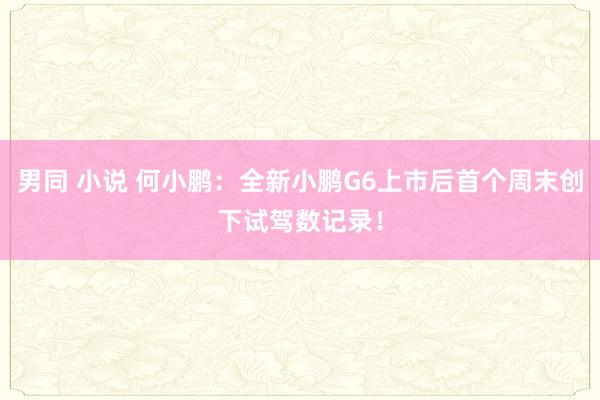 男同 小说 何小鹏：全新小鹏G6上市后首个周末创下试驾数记录！