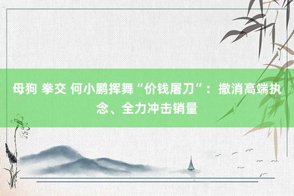 母狗 拳交 何小鹏挥舞“价钱屠刀”：撤消高端执念、全力冲击销量