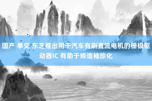 国产 拳交 东芝推出用于汽车有刷直流电机的栅极驱动器IC 有助于缔造袖珍化